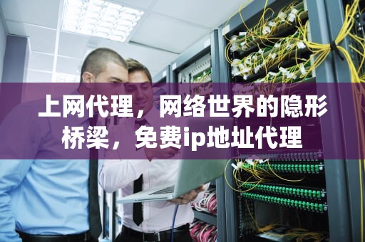 上网代理，网络世界的隐形桥梁，免费ip地址代理
