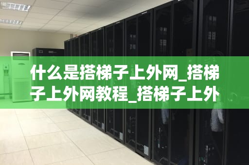 什么是搭梯子上外网_搭梯子上外网教程_搭梯子上外网：技术、风险与法律