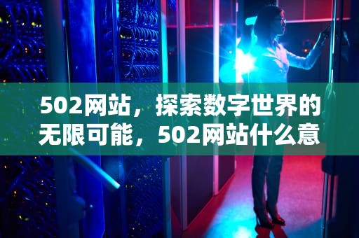 502网站，探索数字世界的无限可能，502网站什么意思