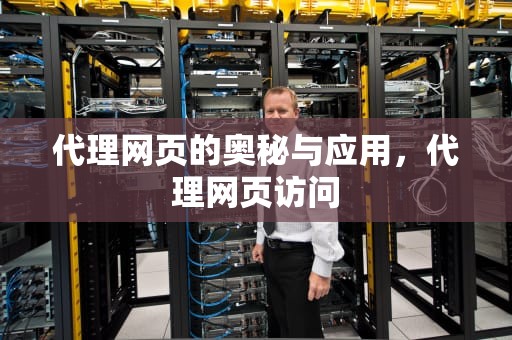 代理网页的奥秘与应用，代理网页访问