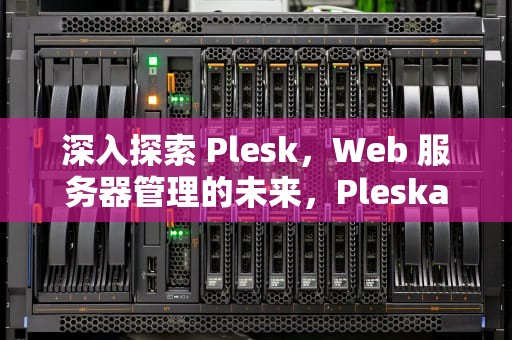 深入探索 Plesk，Web 服务器管理的未来，Pleskavac kolo