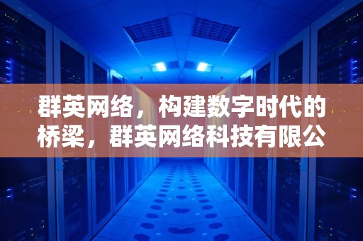 群英网络，构建数字时代的桥梁，群英网络科技有限公司