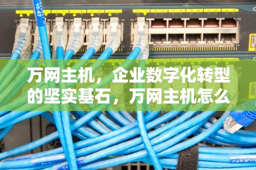 万网主机，企业数字化转型的坚实基石，万网主机怎么建站