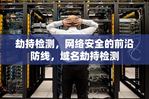 劫持检测，网络安全的前沿防线，域名劫持检测