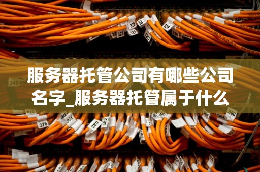 服务器托管公司有哪些公司名字_服务器托管属于什么经营范围_服务器托管公司的全面解析