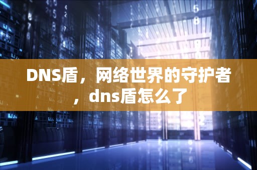 DNS盾，网络世界的守护者，dns盾怎么了