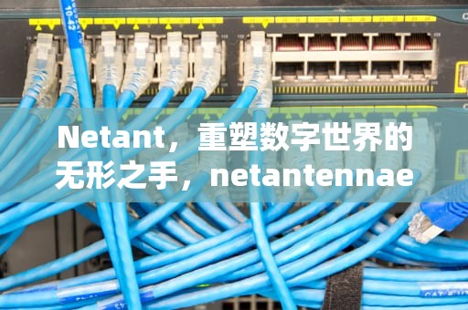 Netant，重塑数字世界的无形之手，netantennae错误