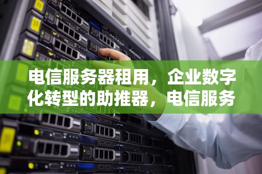 电信服务器租用，企业数字化转型的助推器，电信服务器租用托管