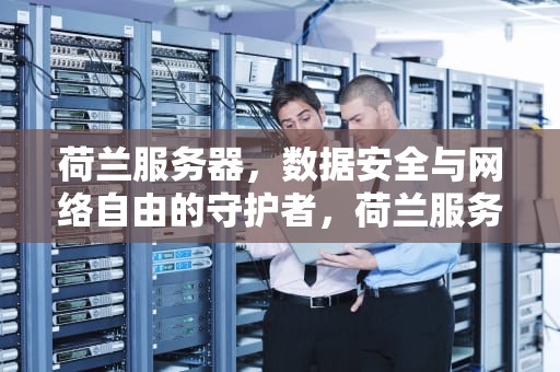 荷兰服务器，数据安全与网络自由的守护者，荷兰服务器租用