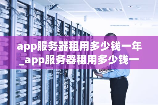 app服务器租用多少钱一年_app服务器租用多少钱一年的_App服务器租用的费用及影响因素
