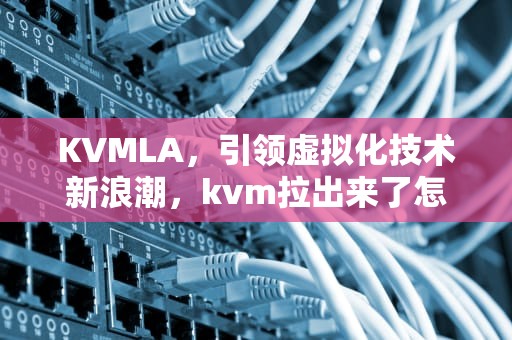 KVMLA，引领虚拟化技术新浪潮，kvm拉出来了怎么放进去