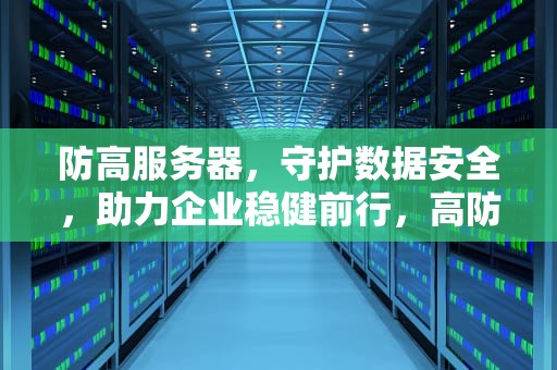 防高服务器，守护数据安全，助力企业稳健前行，高防服务器什么意思