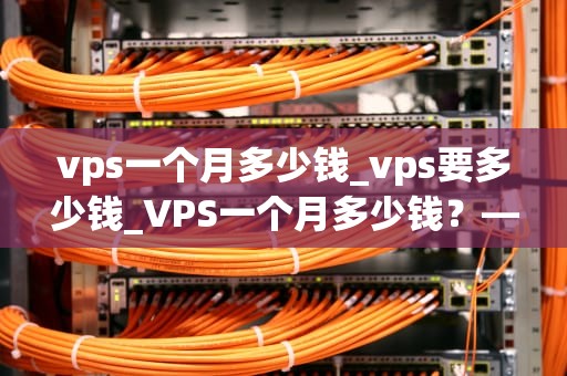vps一个月多少钱_vps要多少钱_VPS一个月多少钱？——深入解析虚拟专用服务器的价格因素