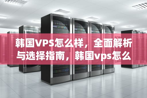 韩国VPS怎么样，全面解析与选择指南，韩国vps怎么使用