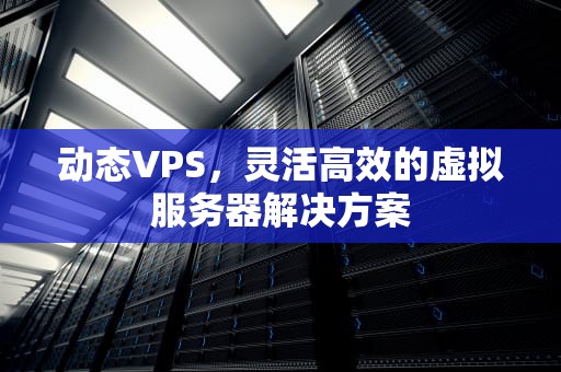 动态VPS，灵活高效的虚拟服务器解决方案