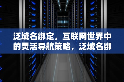 泛域名绑定，互联网世界中的灵活导航策略，泛域名绑定有什么好看的