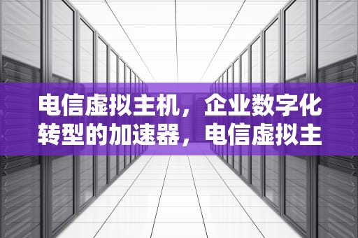 电信虚拟主机，企业数字化转型的加速器，电信虚拟主机有哪些