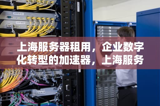 上海服务器租用，企业数字化转型的加速器，上海服务器租用,网络服务