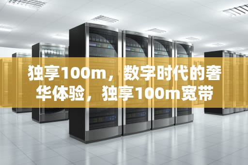 独享100m，数字时代的奢华体验，独享100m宽带