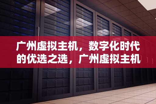 广州虚拟主机，数字化时代的优选之选，广州虚拟主机生产厂家