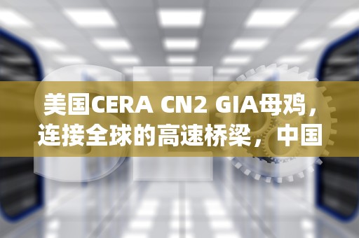 美国CERA CN2 GIA母鸡，连接全球的高速桥梁，中国cera cn2 gia母鸡