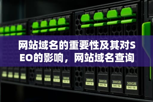网站域名的重要性及其对SEO的影响，网站域名查询