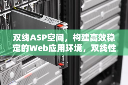 双线ASP空间，构建高效稳定的Web应用环境，双线性空间