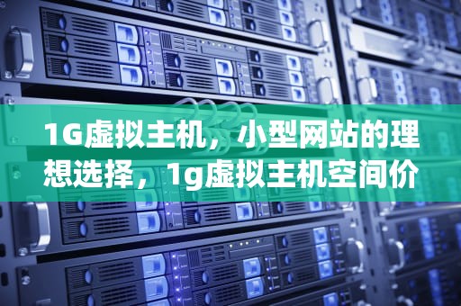 1G虚拟主机，小型网站的理想选择，1g虚拟主机空间价格