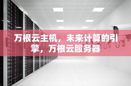 万根云主机，未来计算的引擎，万根云服务器