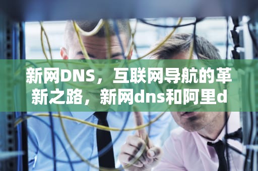 新网DNS，互联网导航的革新之路，新网dns和阿里dns