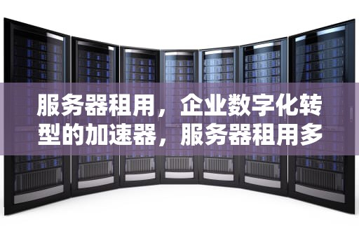 服务器租用，企业数字化转型的加速器，服务器租用多少钱一年