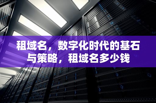 租域名，数字化时代的基石与策略，租域名多少钱