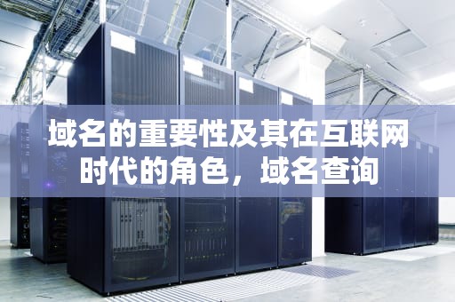 域名的重要性及其在互联网时代的角色，域名查询