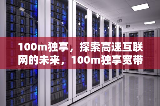 100m独享，探索高速互联网的未来，100m独享宽带