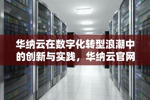 华纳云在数字化转型浪潮中的创新与实践，华纳云官网