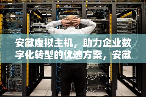 安徽虚拟主机，助力企业数字化转型的优选方案，安徽虚拟主机生产厂家