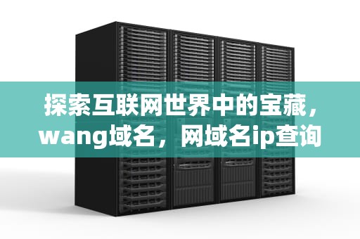 探索互联网世界中的宝藏，wang域名，网域名ip查询