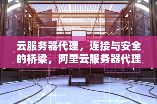 云服务器代理，连接与安全的桥梁，阿里云服务器代理