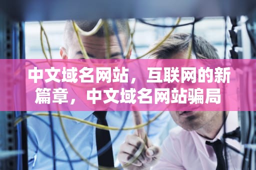 中文域名网站，互联网的新篇章，中文域名网站骗局