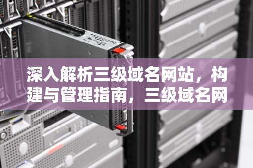 深入解析三级域名网站，构建与管理指南，三级域名网站怎么申请的
