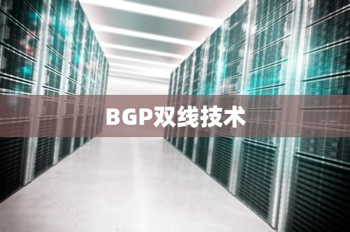 BGP双线技术