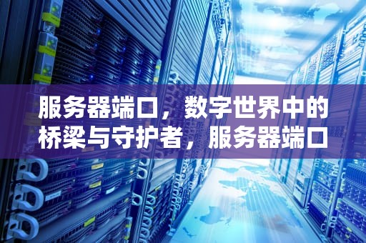 服务器端口，数字世界中的桥梁与守护者，服务器端口在哪里看