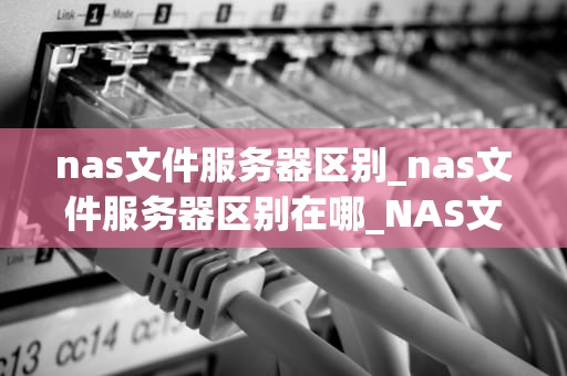 nas文件服务器区别_nas文件服务器区别在哪_NAS文件服务器区别及其优势