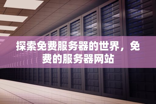 探索免费服务器的世界，免费的服务器网站