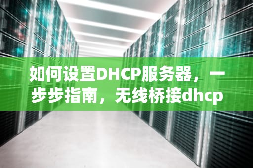如何设置DHCP服务器，一步步指南，无线桥接dhcp服务器怎么设置