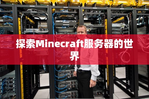 探索Minecraft服务器的世界