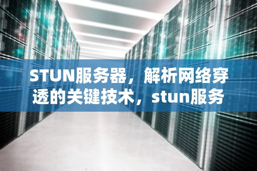 STUN服务器，解析网络穿透的关键技术，stun服务器地址