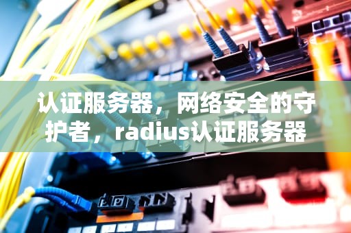 认证服务器，网络安全的守护者，radius认证服务器