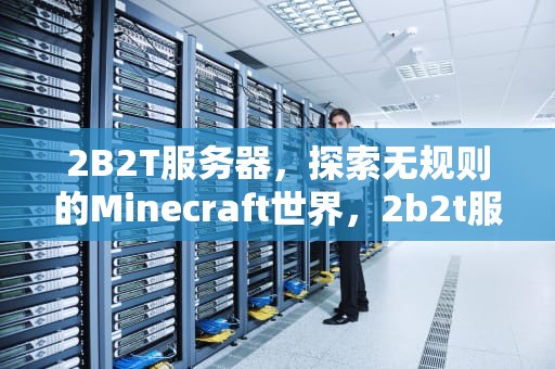 2B2T服务器，探索无规则的Minecraft世界，2b2t服务器怎么进