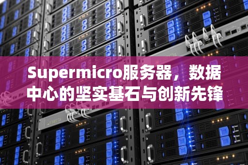 Supermicro服务器，数据中心的坚实基石与创新先锋，supermicro服务器进入bios
